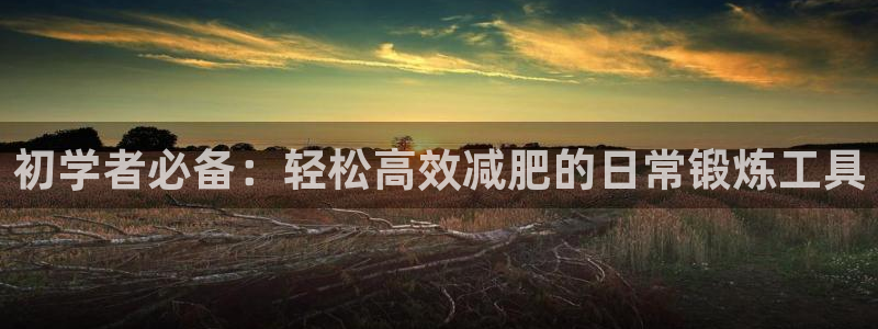 tpwallet官网下载平台是正规平台吗安全吗:初学者必备: